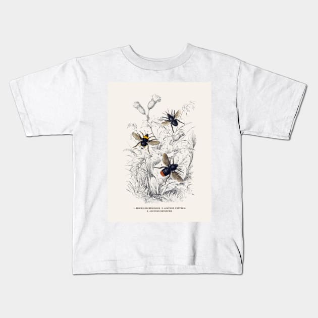 Bees Antique Naturalist Illustration Kids T-Shirt by Antiquated Art